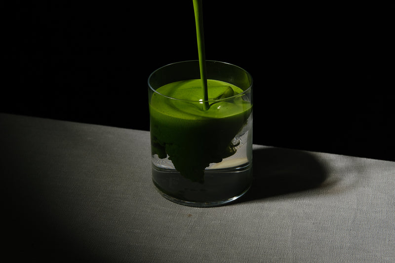 Matcha Recipe Guide: Iced, Batched, and Cloud
