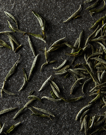 Somage USA | Organic Tea, Drinking Chocolate, Fresh Chai & Latte
