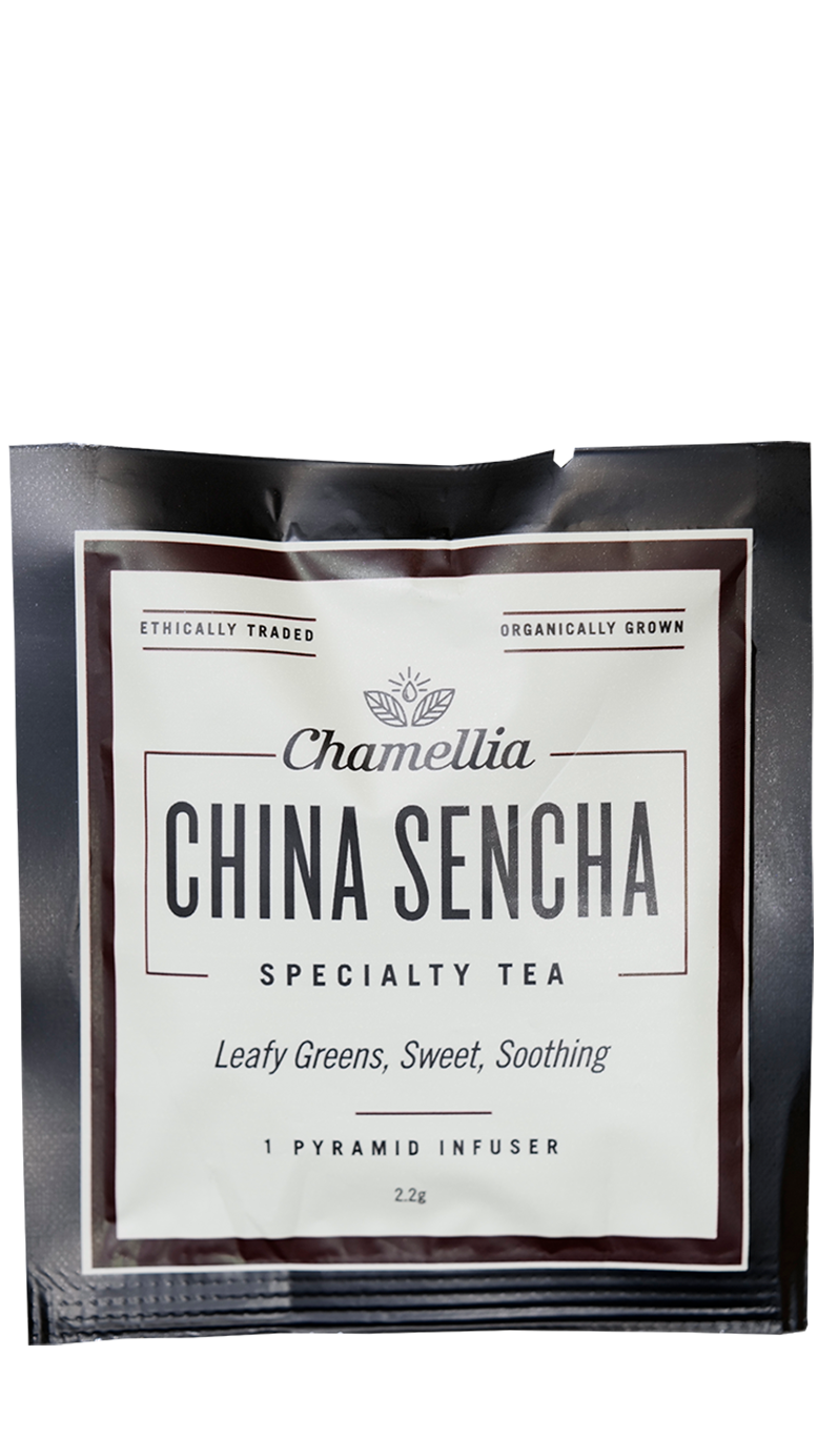 Sencha Green Pyramid Sachet